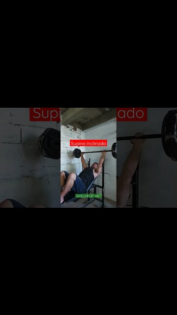 Supino Inclinado exercício para peito