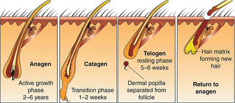 Maintain A Healthy Hair Growth