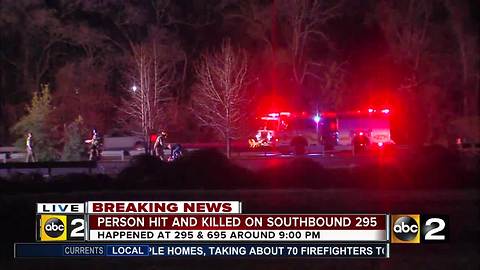 Pedestrian dead after being struck on 295