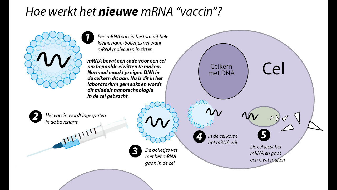 Hoe werkt een mRNA vaccin?