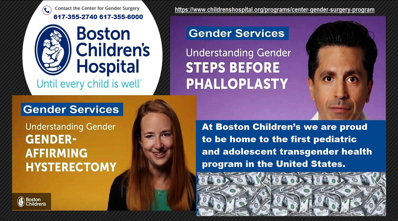Libs Of Tik Tok Matt Walsh - Schools Hospitals Children Gender Affirm