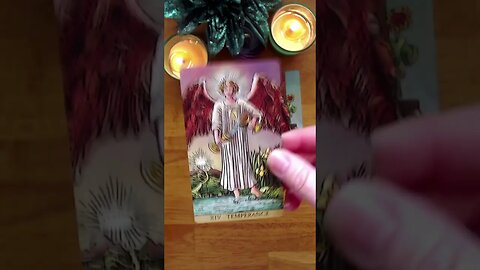 Why Hasn't Your Crush Come Forward? 💜A Channeled Message From Your Crush! 💖 Timeless Tarot Reading 🌅