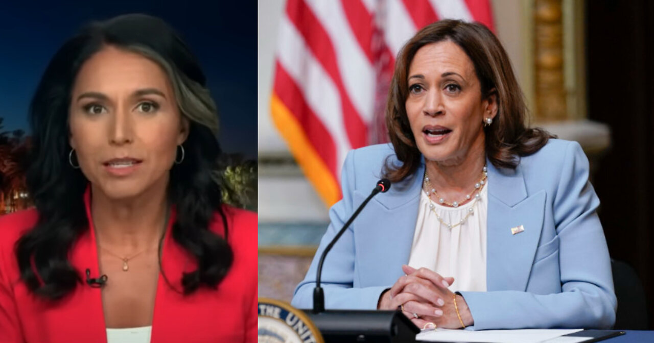 Tulsi Gabbard Lights Up Kamala Harris for 'Hypocrisy' of Defending Brittney Griner