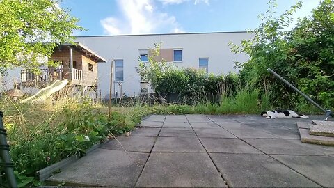 Highlight 5:37:44 – 5:42:44 von Silent Long LIVE for wh update IN THE GARDEN IN VERY BEAUTIFUL WEATH