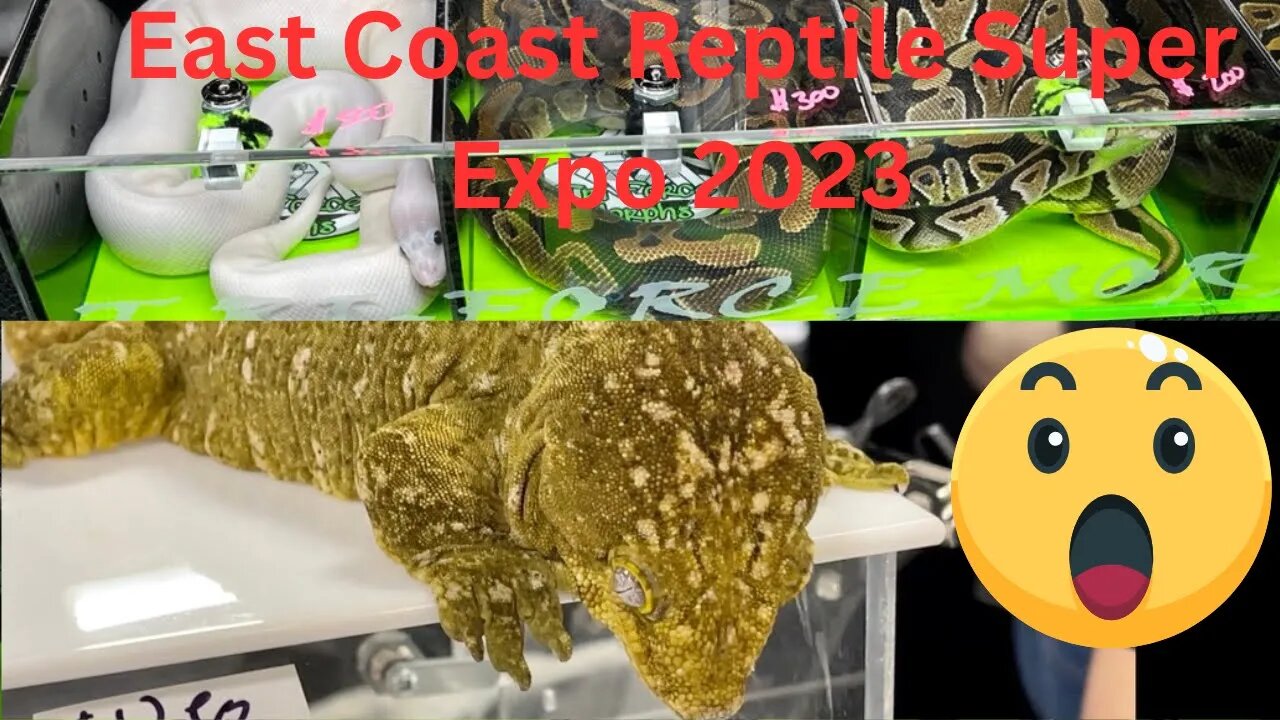 Oaks, PA, East Coast Reptile Super Expo 2023