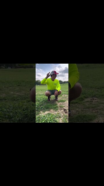 How to Digitally Remove Weeds From Your Lawn