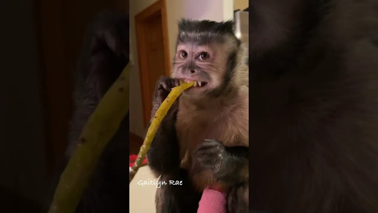 Dinner!