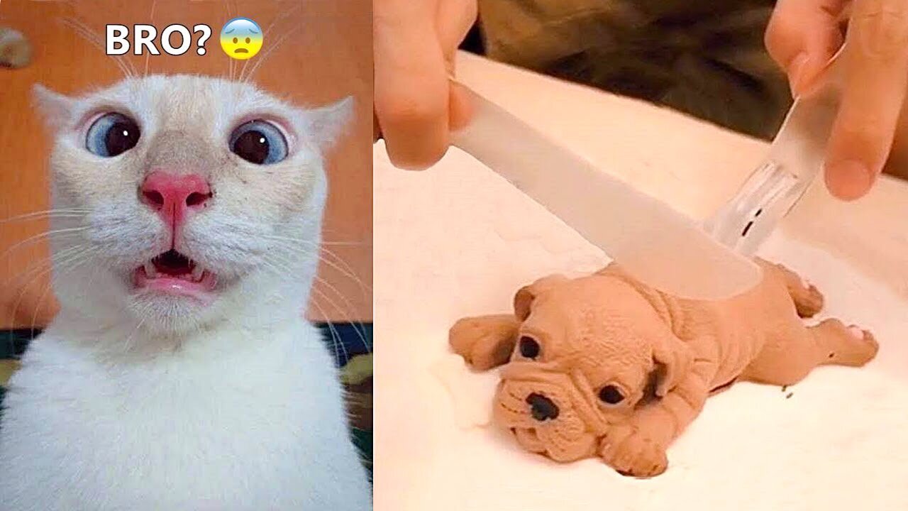 The end 😂😂😂