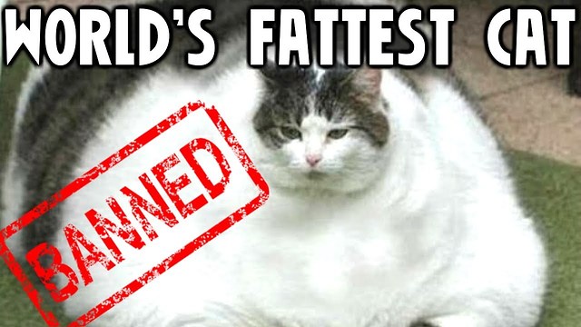 10 Banned World Records