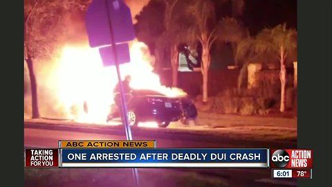 Police: Tampa man charged with DUI manslaughter after deadly, fiery crash