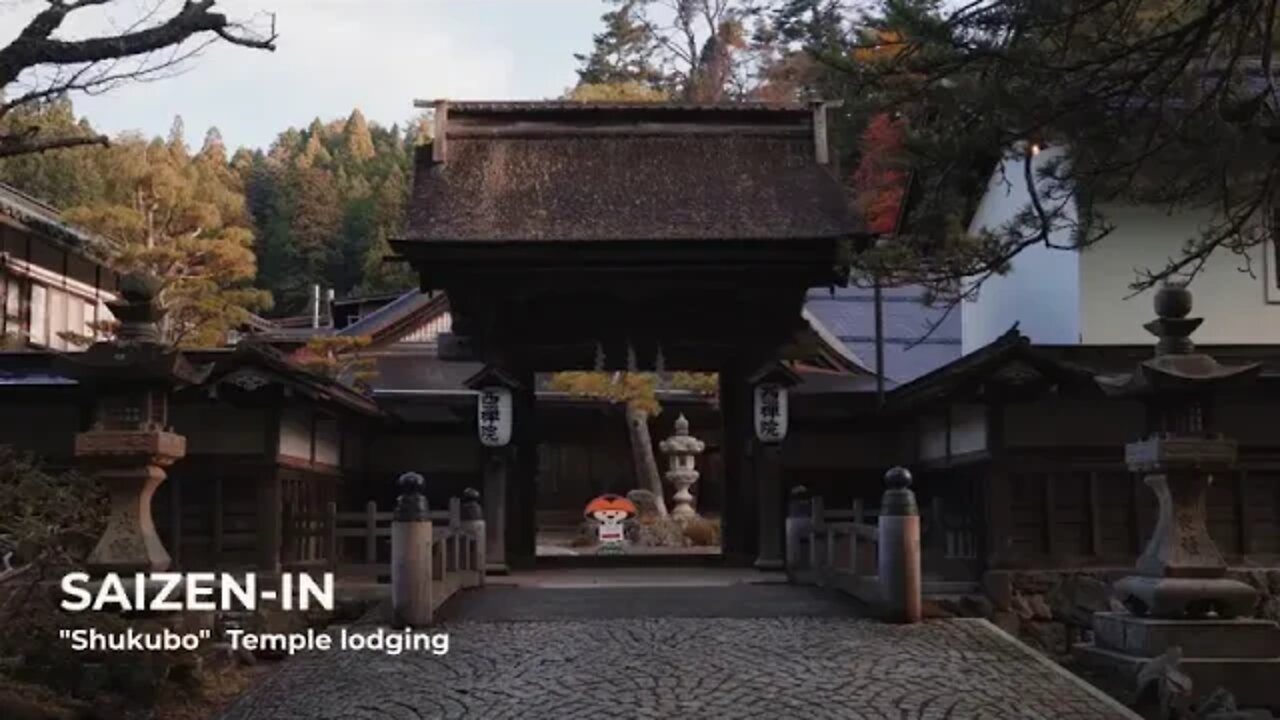 How ~ to ~ Spend ~ 14 ~ Days ~ in Japan A Japan Travel Itinerary