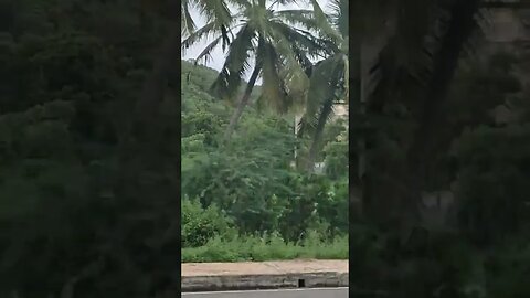 Beautiful nature of Vellore's outskirts on the way to Tirupati,#shortvideo,#tourvlog ,#naturebeauty