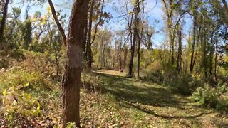 Clearing some land with the brush hog