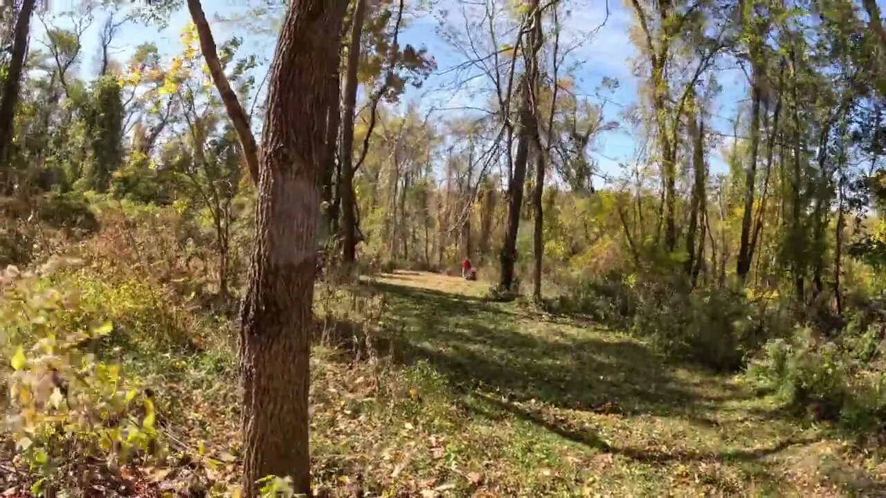 Clearing some land with the brush hog