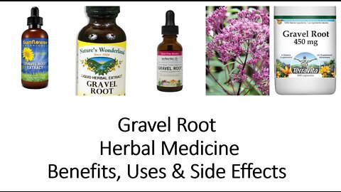 Gravel Root - Herbal Medicine - Benefits, Uses & Side Effects