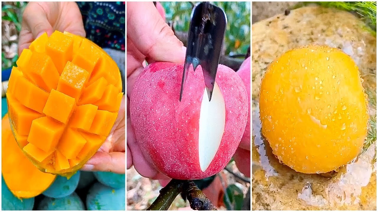 Fruit farms in China - Eating fresh Fruit at Farm