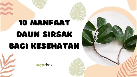 SOURSOP / DAUN SIRSAK WORLD NO 1 ANTI CANCER MEDICINE WITHOUT CHEMOTHERAPY!!!