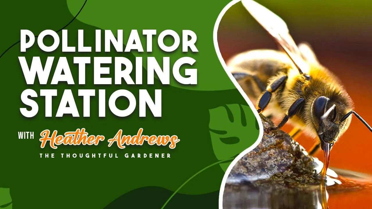 Pollinator Watering Station with Heather Andrews