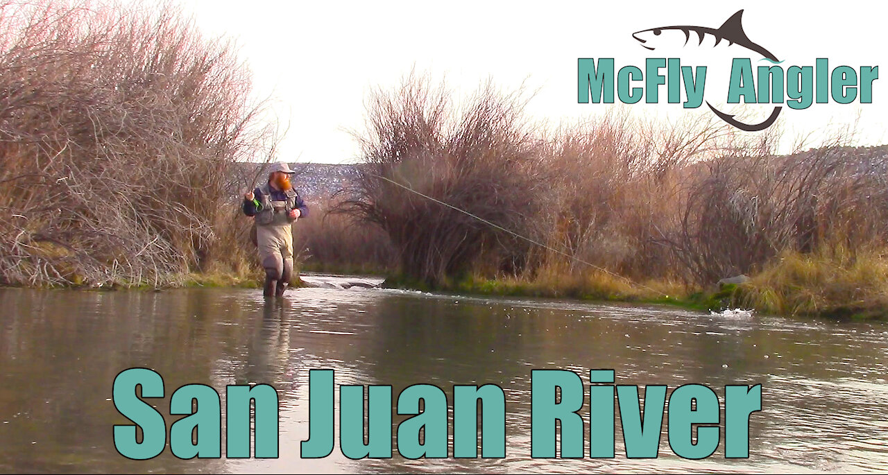 Winter MIDGE Fly Fishing On the San Juan River Tailwater for Trout - McFly Angler Episode 2