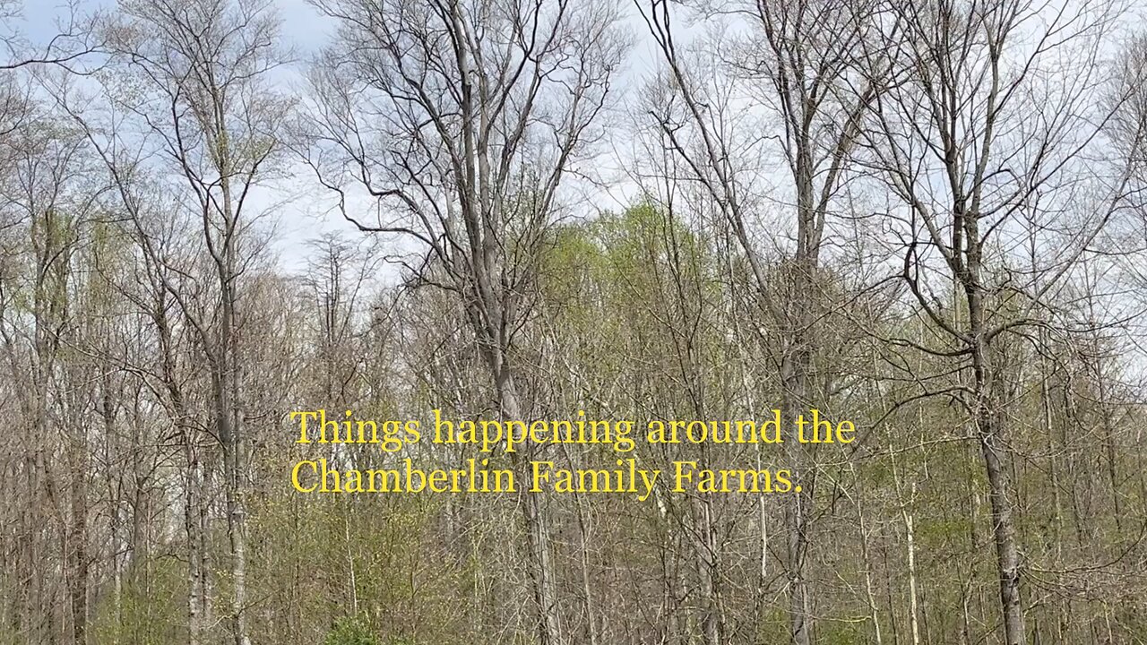 Things happening around the farm today.