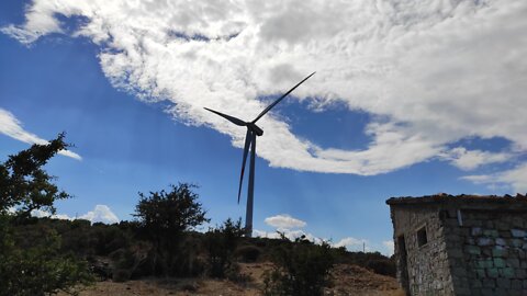 Diario politico 26 - Un posto al sole