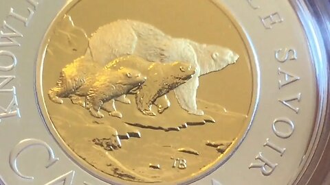 Stunning Canada Polar Bear Proof Silver Coin!