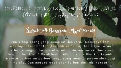 Surat Al Baqarah Ayat 164 169