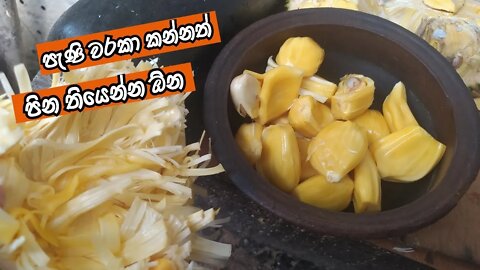 පැණි වරකා කන්නත් පින තියෙන්න ඕන after long time tasted riped jackfruit