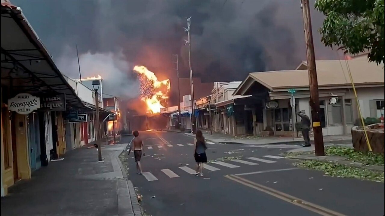 Maui wildfires take staggering toll on island's economy