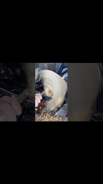 Hollowing out a log #woodturning