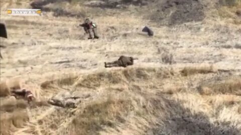 Russian artillery preparation, small arms fire was opened on the fleeing