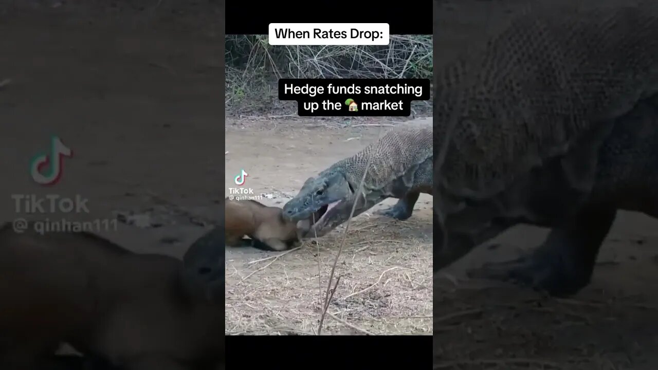 😳