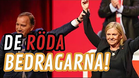 Social bedrägeripartiet