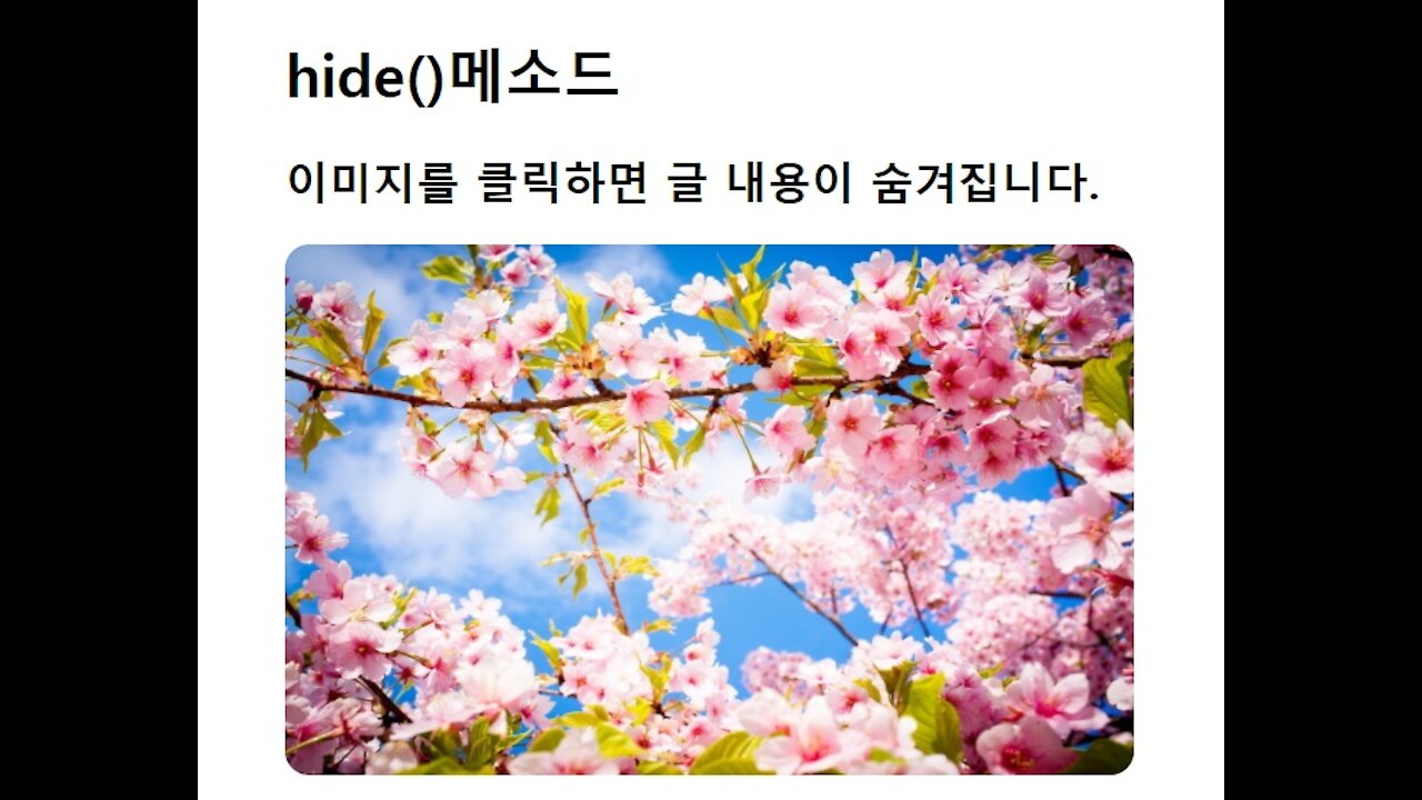 hide() method in jQuery -2