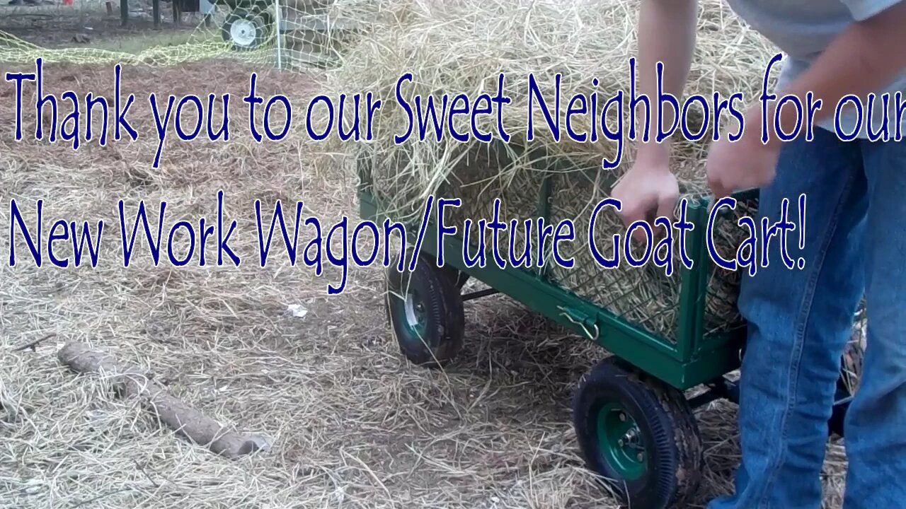 TexasBoy's work wagon!!