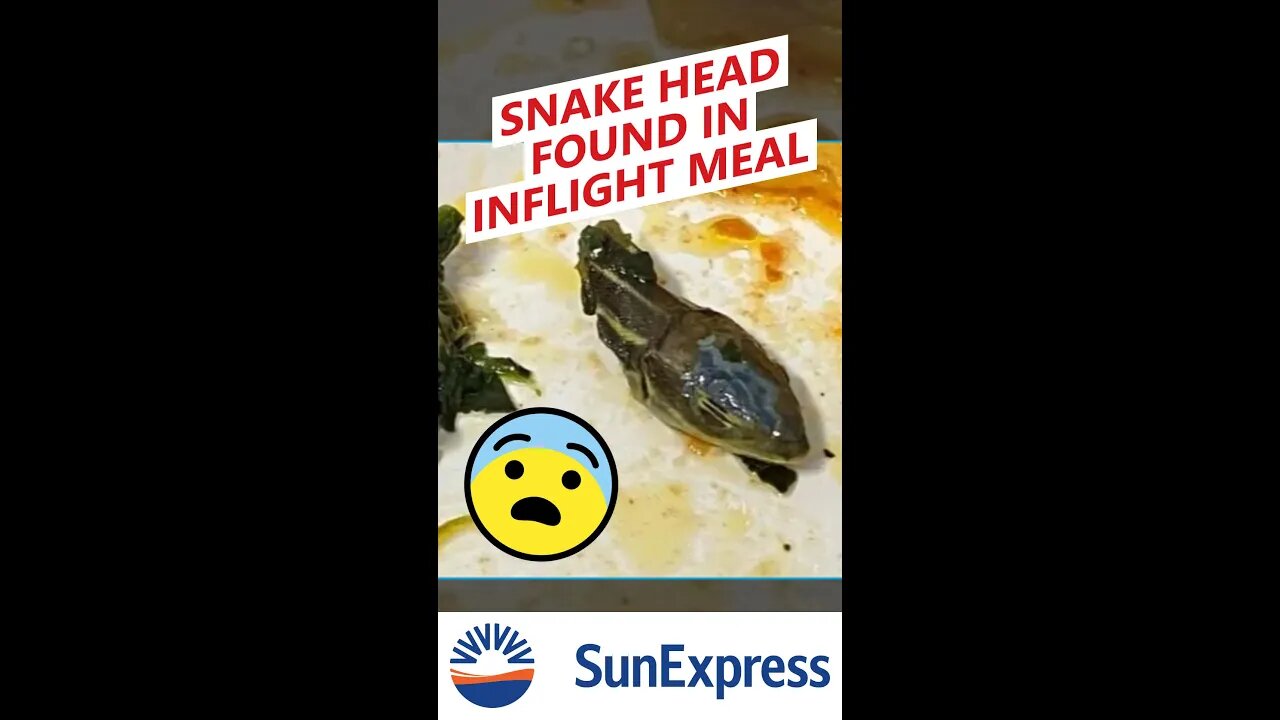 SNAKE HEAD in budget airline inflight meal 🇹🇷