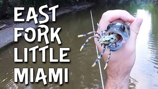 Fishing hometown waters - East Fork Little Miami (Ohio Fishing)