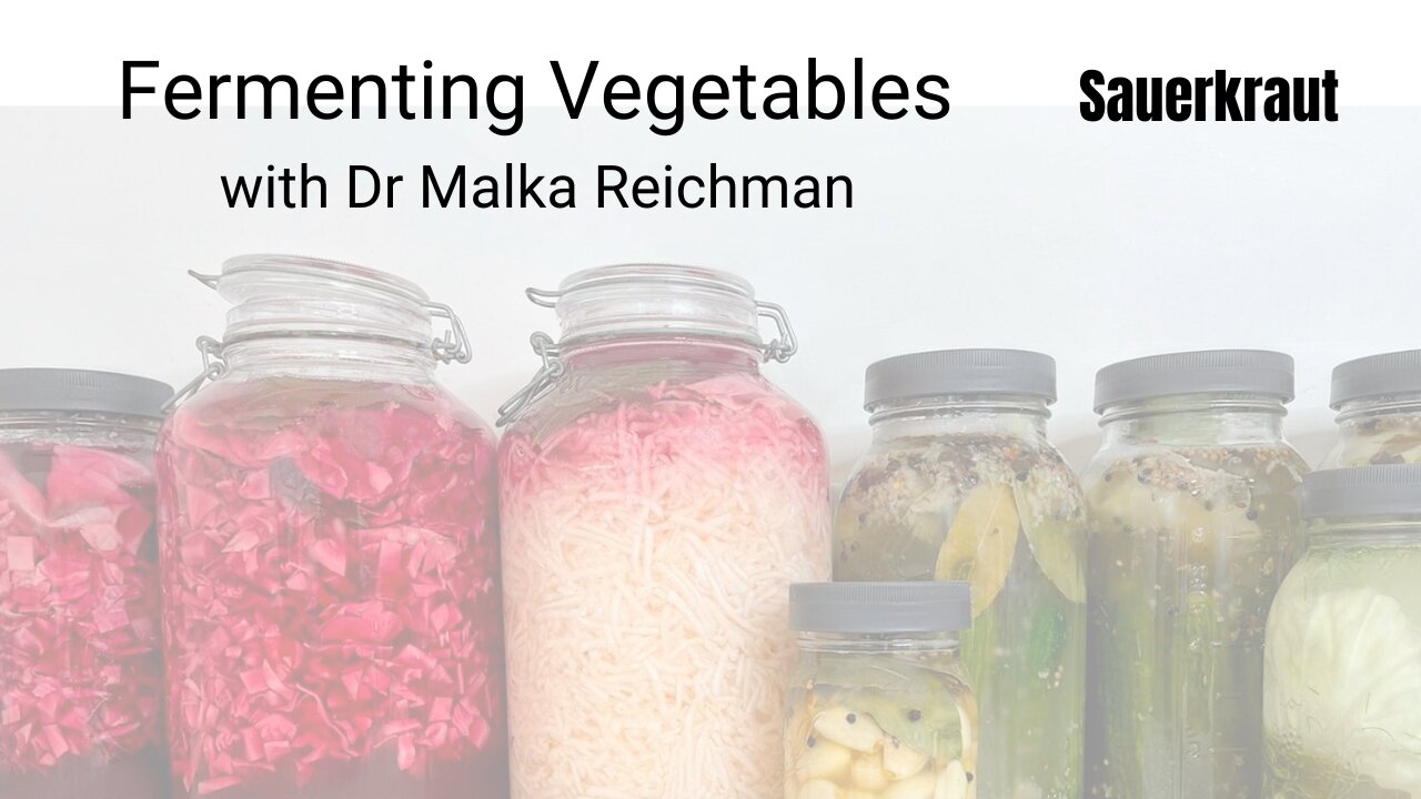 How To Ferment Cabbage (Sauerkraut) with Dr Malka Reichman