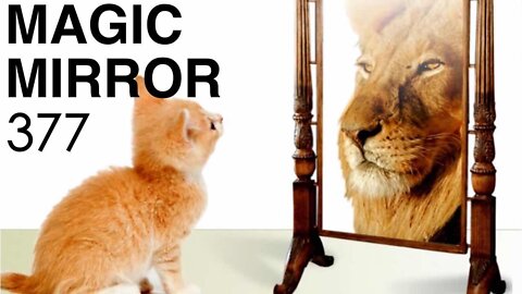 Magic Mirror 377 - Laugh & Learn