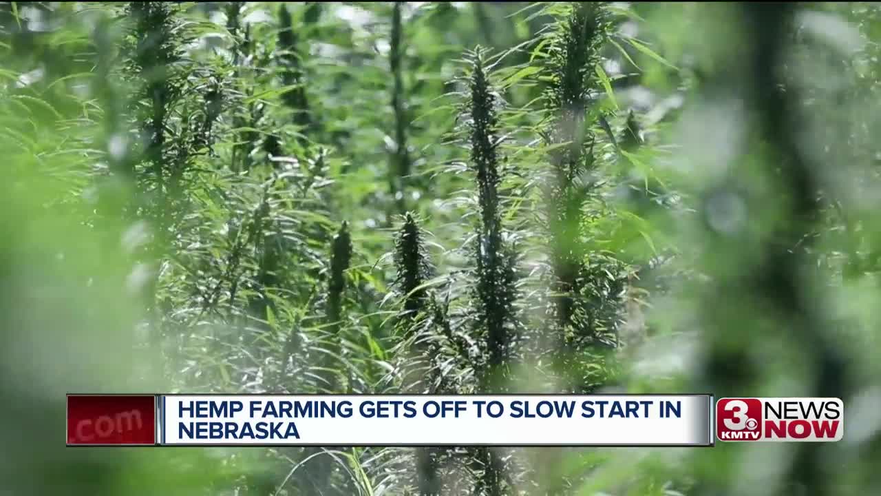 Hemp farming slow to get off ground in Nebraska