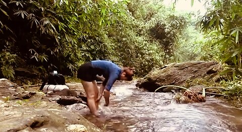 Tiger attacking solo girl in forest 🐅🐅🐅