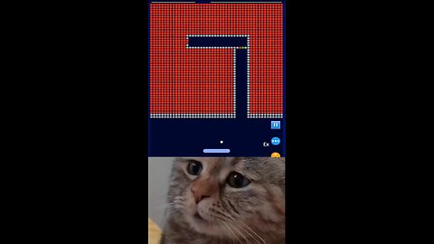 🐈‍⬛ 🐈 #cat #game #bricks #breaker #christell #shortsfeed #shorts #viral #funny