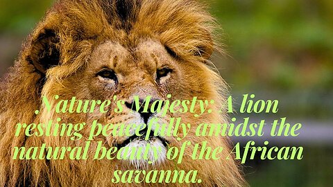 Roaring Majesty: Unveiling the Importance of the Magnificent Lion in the Animal Kingdom [ Nature]