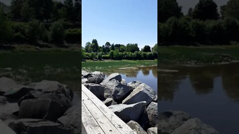 dam in Quebec by where I swim #sfmcollective #shorts #quebec