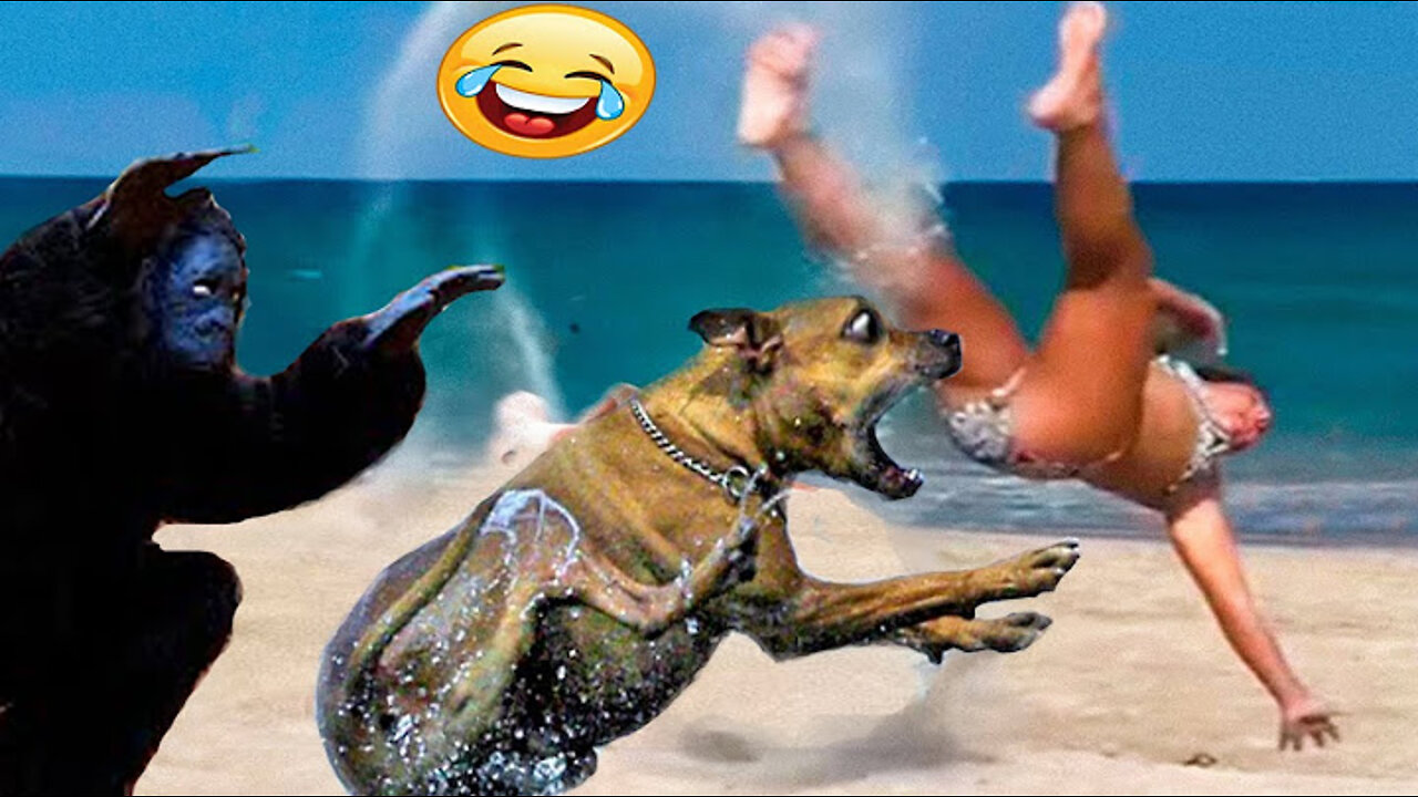 Dogs funny videos (Must watch)