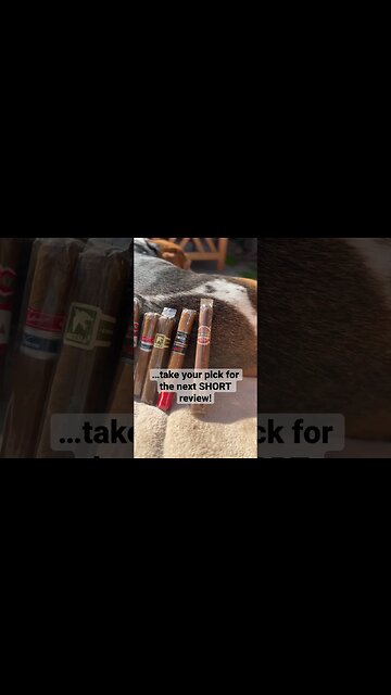 Choose The Next SHORT Review! ☝️ #cigar #cigars #shorts #luxury #dog