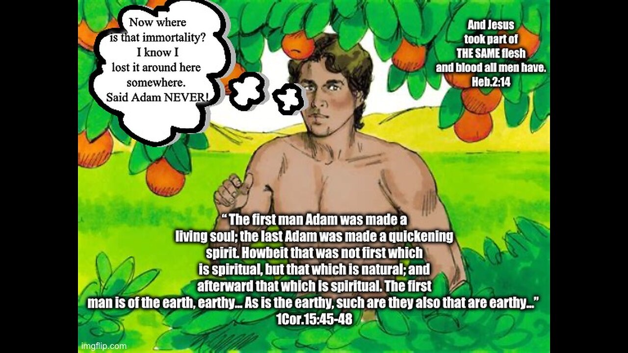 WERE ADAM’S AND JESUS’ BODIES IMMORTAL? Heb.2:14