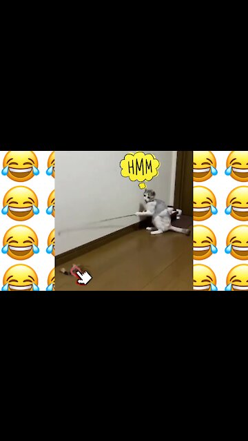 How do you entertain yourself at home？😂😂😂