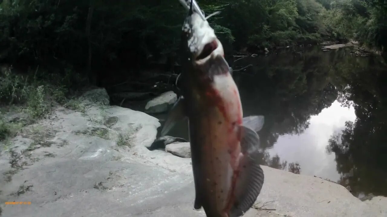 Fishing adventure 8/27/23: Sunday Morning Hot Bite