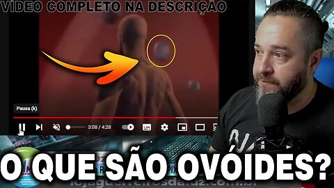 O que são Ovóides ?